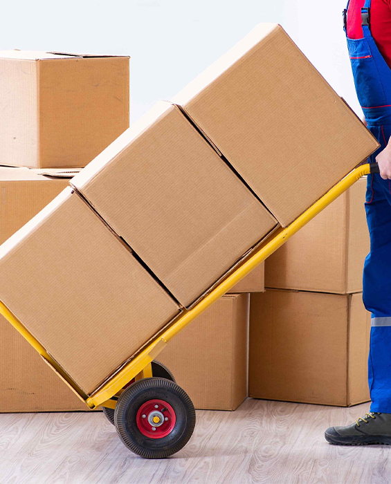 Competitive Pricing And Fast Delivery Across Uae